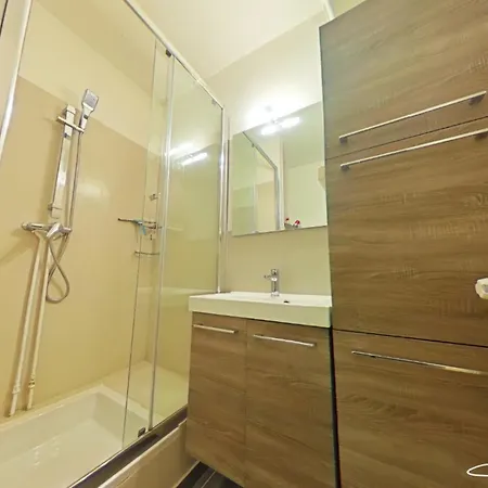 503, Vue Pistes Hohneck Appartement La Bresse